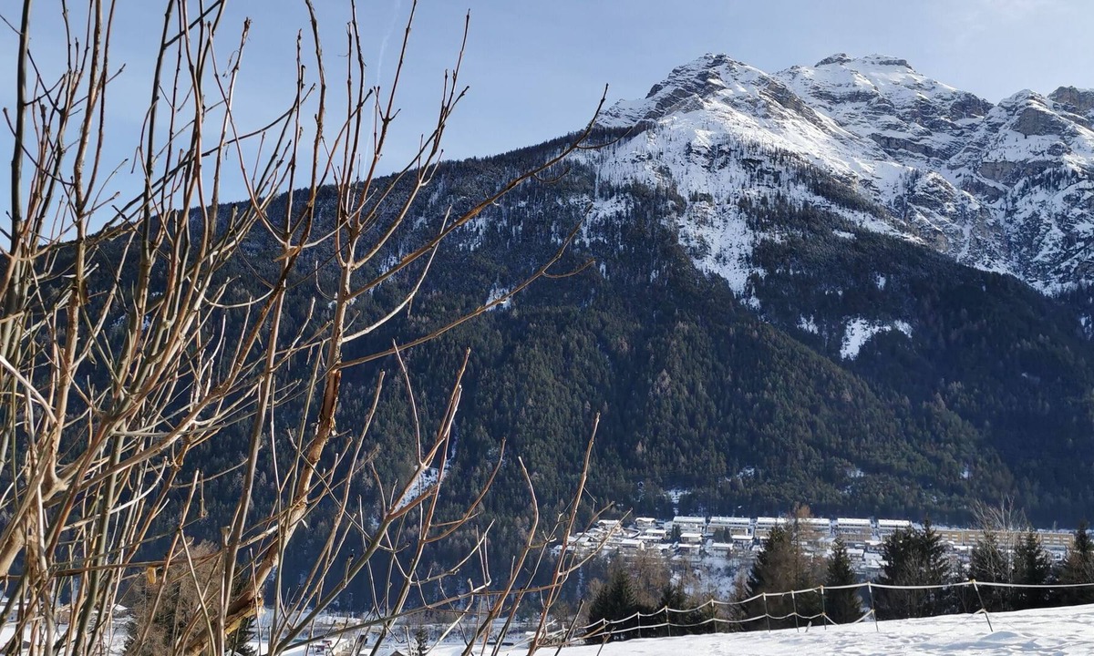 Medraz Apartment | Apartements am Kirchplatz: Centrally located holiday apartment in Fulpmes