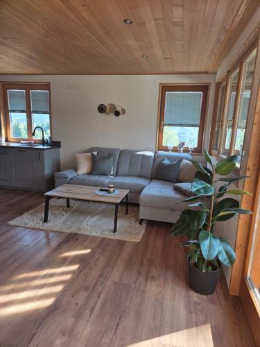 Sibratsgfaell Apartment | Bereuter
