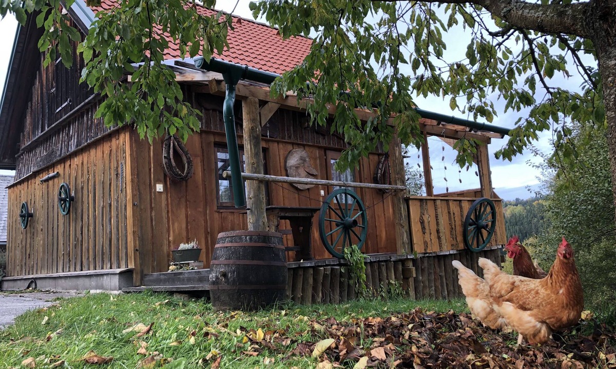 Langschlag House | Cozy, rustic vacation home in a fantastic location