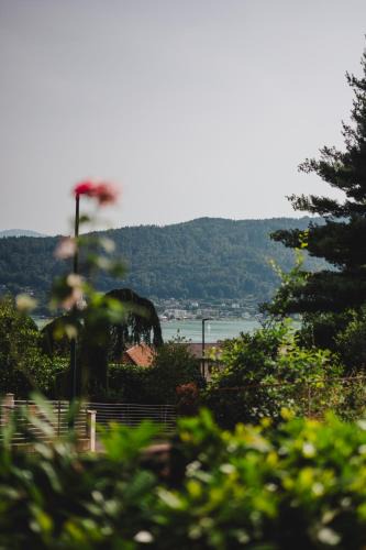 Goritschach Apartment | Die Labsalerie - Urlauben am Wörthersee