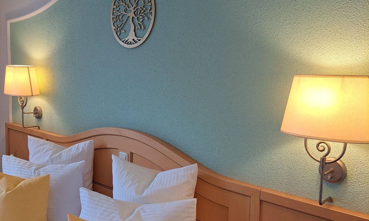 Alberschwende House | Double room STANDART - Schedlers Löwenhotel Garni*