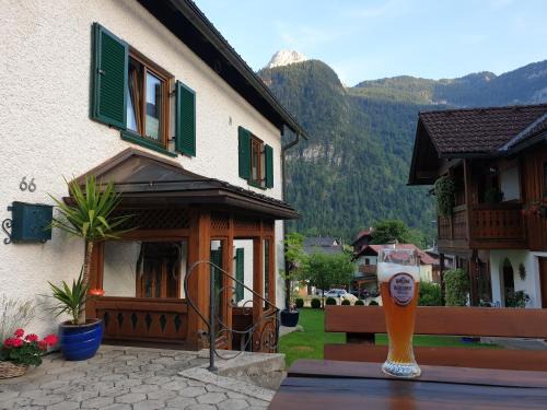 Obertraun Apartment | Haus 66