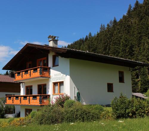 Schildlehen Apartment | Haus Bergquell