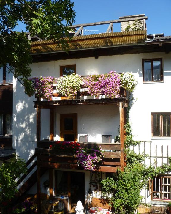 Mieders Apartment | Haus Driendl