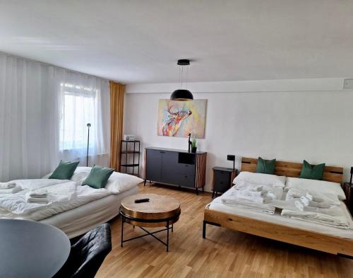 Sankt Polten Apartment | Klimatisiertes Altstadt-Apartment mit Terrasse im Zentrum Sankt Pölten - Aelium Cetium