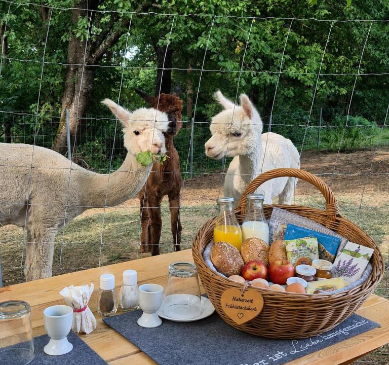 Eltendorf House | Tinyhouse mit Alpakas Ruhe &Natur-Waldminze Südburgenland Frühstück zubuchbar