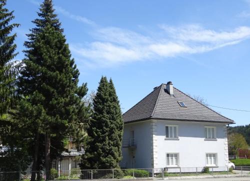Hermagor-Pressegger See Apartment | Wulfenia Apartments