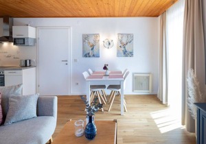 Country house apartment 1 bedroom with terrace - Ferienpark Scheiber