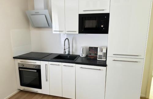 Steinach am Brenner Apartment | Alpin Apartments am Dorfbrunnen JUNIOR SUITE