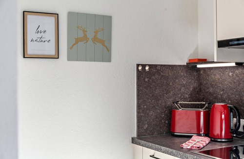 Leutasch Apartment | Apartment "Alpenrose" with Mountain View, Shared Terrace & Wi-Fi