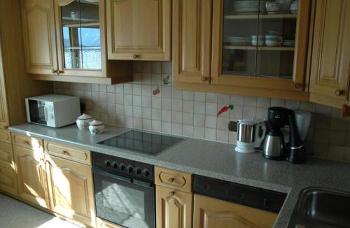Silbertal Apartment | Apartment Große Wohnung in Silbertal mit Großem Garten by Interhome