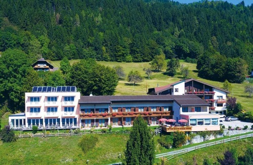 Stiegl House | Double room, shower/WC partly separate in the room - Hotel Ossiacher See*