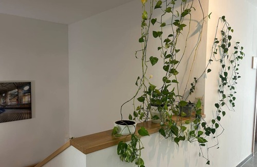 Kremsmuenster Apartment | FarawayHomes Aparthotel Kremsmünster #11