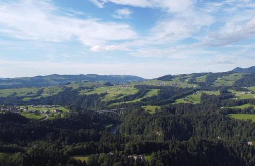 Grossdorf Apartment | Ferienhaus am Waldrand von Egg Bregenzer Wald