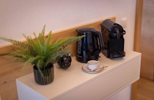 Furth Apartment | FESH LIVING 5 - smart luxury apartment with sauna area near Zell am See/Kaprun