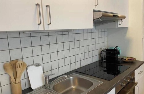 Muehlau Apartment | Innside - Terrace and mountain view near the Inn promenade