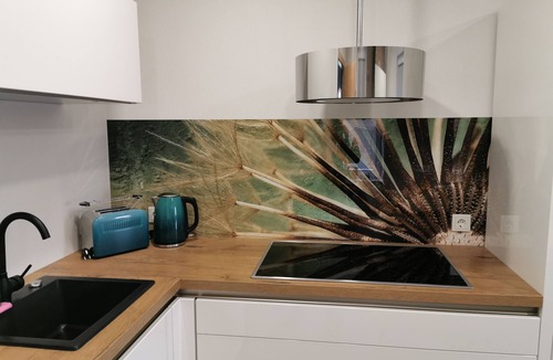 Floh Apartment | Modern vacation apartment Am Flohbach 1 Fam. Weisheit Thuringian Forest