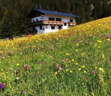Steeg House | Pension Panorama Warth