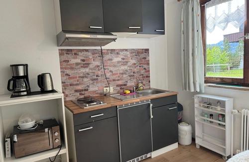Sibratsgfaell Apartment | Picturesque Studio in Sibratsgfall With Garden