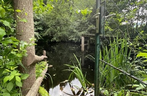 Muenichreith-Laimbach Apartment | Vacation Rental with a Private Natural Swimming Pond