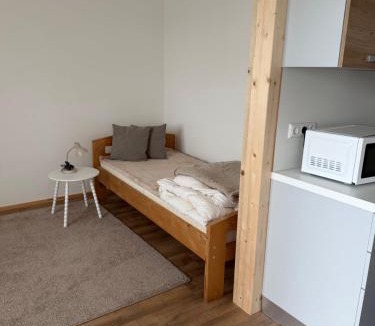 Gaishorn Apartment | Wohnung Magdalene