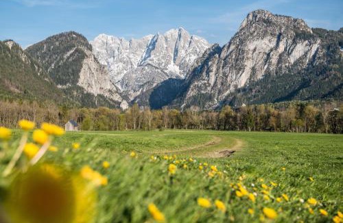 Weng bei Admont House | Xeis NeSt