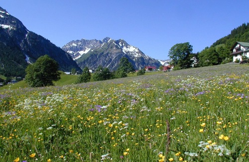 Mittelberg Apartment | Your summer cable car ticket is included!