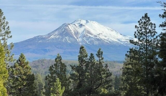 30 Night Minimum, Shasta View Villa in Weed