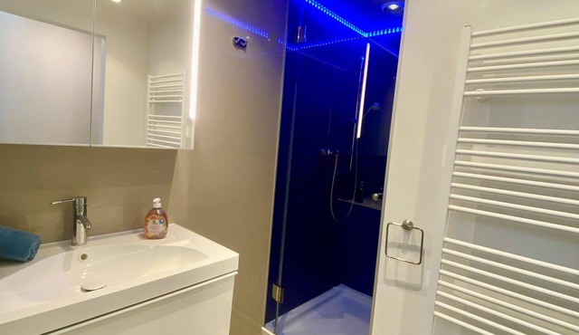 Air-conditioned, quiet attic apartment with 1 bedroom in Wien