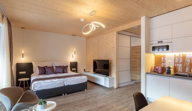 Apartment/apartment, shower, WC, 1 bedroom - Artmur Apartmenthaus