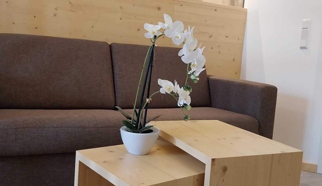 Appartment mit Balkon