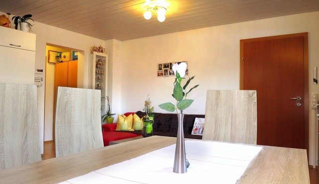 Beautiful apartment for 4 guests with WIFI, TV, pets allowed and parking