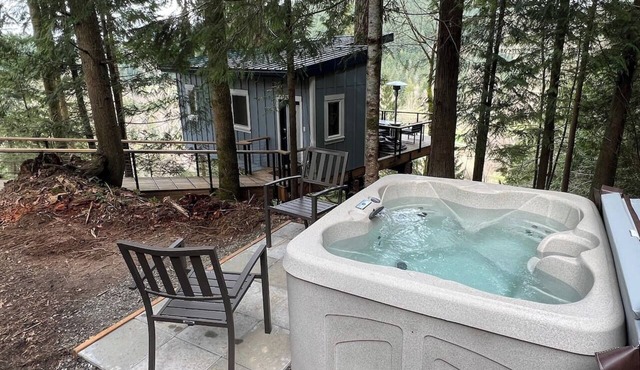 Bellingham Treehouse w/Waterfall, View, & Hot Tub in Bellingham