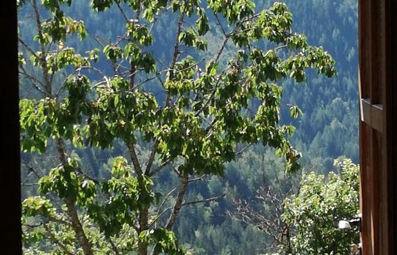 Biohof Sattler