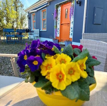 Blueberry Tiny Home in Kilmurry McMahon
