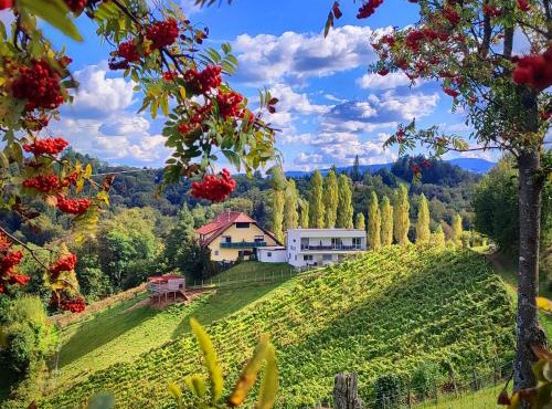Boutique Hotel Toso Genussreich