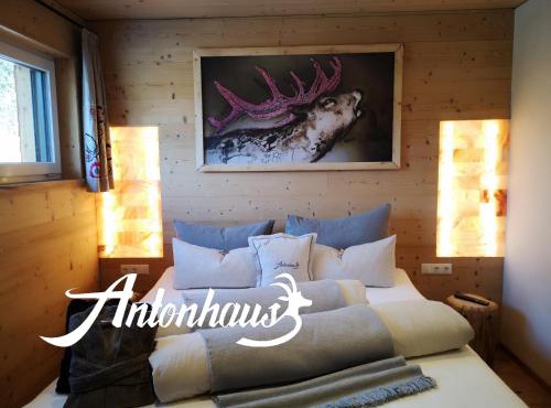 Chalet Appartement Antonhaus