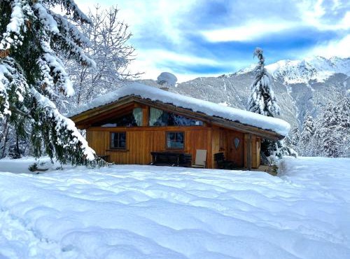 Chalet Astrid