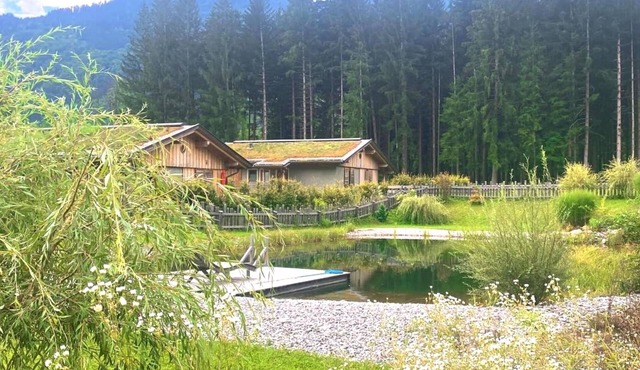 Chalet with sauna for a nature vacation