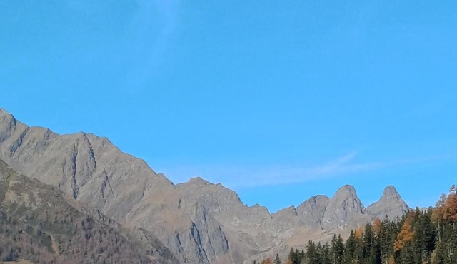 Chalets Dolomiti living