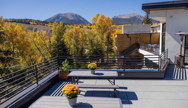 Charming Room Near Silverthorne's Best Ski Slopes! Pets Allowed! in Silverthorne