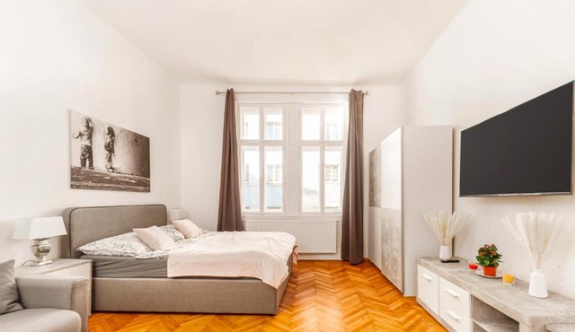 City Apartment with Netflix, central and near metro, 8