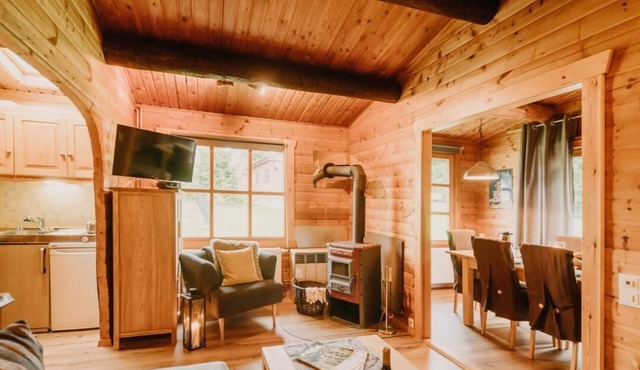 Comfort vacation home Tannenrauschen in Hohegeiß