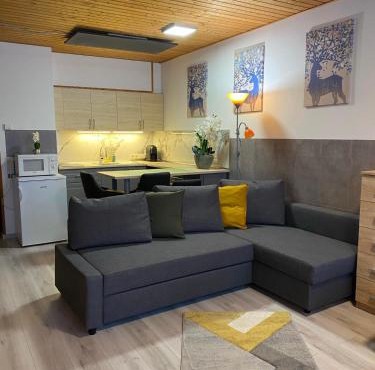 Cosy Apartment