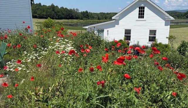 Cozy 1-bedroom cottage on beautiful organic farm in Vermont in Brandon