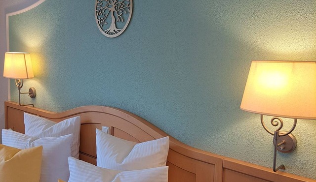 Double room STANDART - Schedlers Löwenhotel Garni*