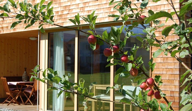 Family luxury apartment - Appartements Christine