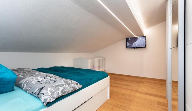 Ferienwohnung Steinplatte