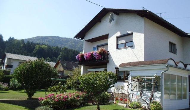 Flat "Draublick" with mountain view in Neuhaus
