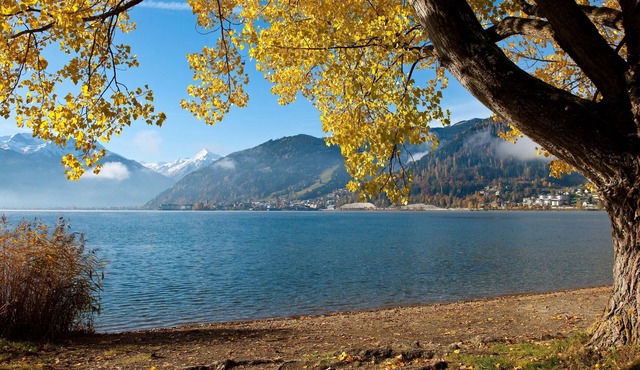 Gartenapartment Mandl Zell am See Sauna Pool 75 qm